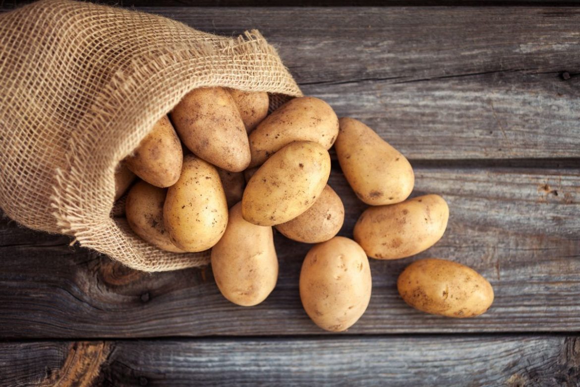 patates